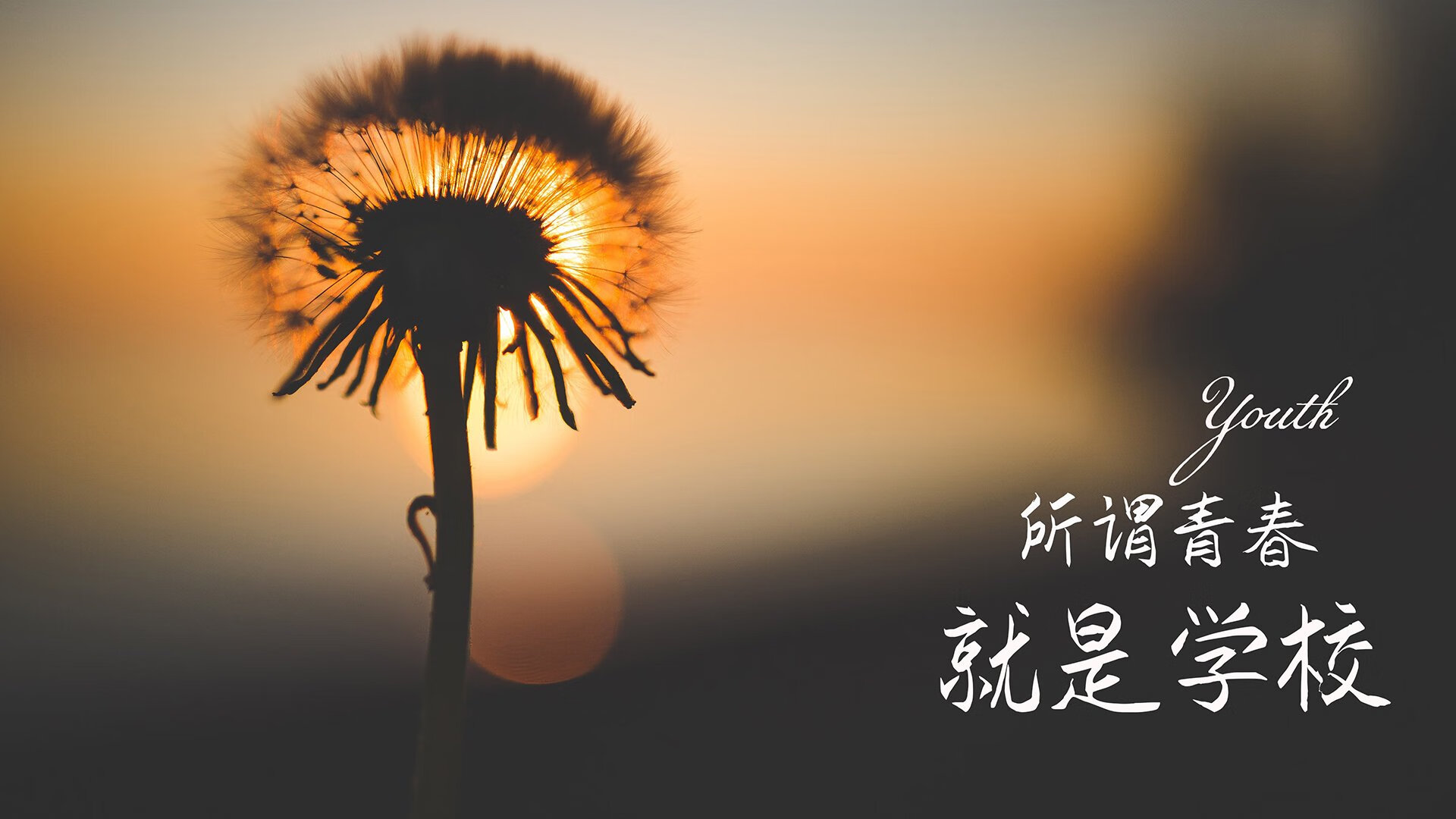 2024年中国残疾人广场龙舞推广活动在九江举行，全国残疾人舞蹈比赛