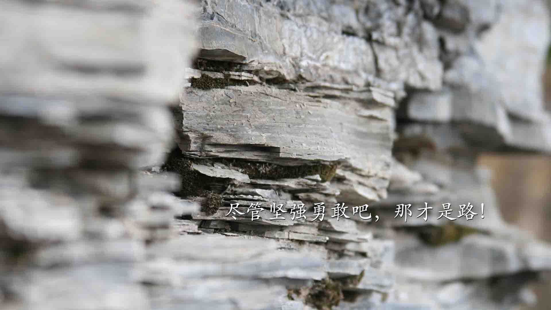女足比赛团队精神凝聚力，战胜对手信心十足，女足精神视频