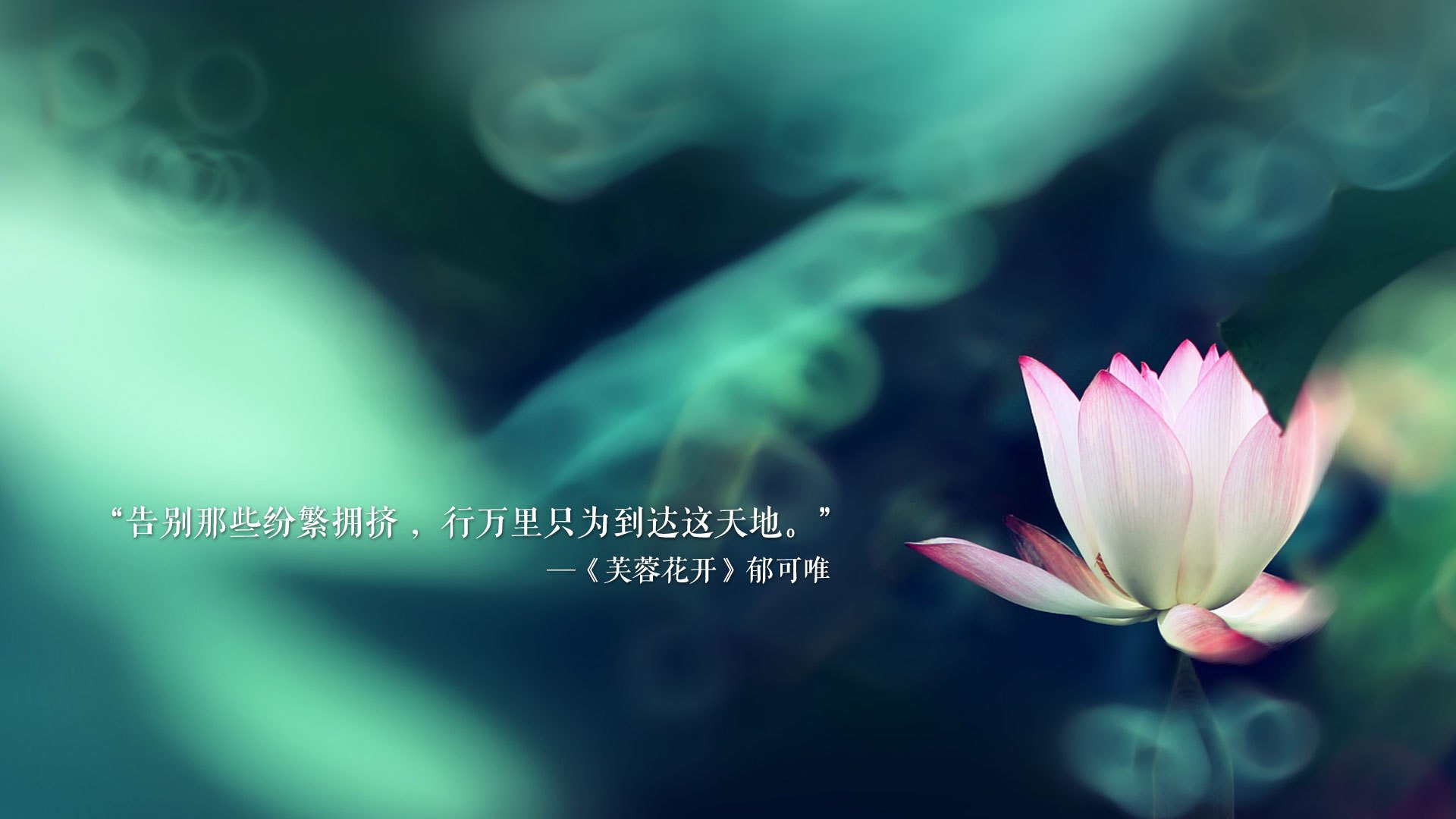 瓦伦西亚主场2-0战胜西班牙人，取得关键三分，瓦伦西亚队