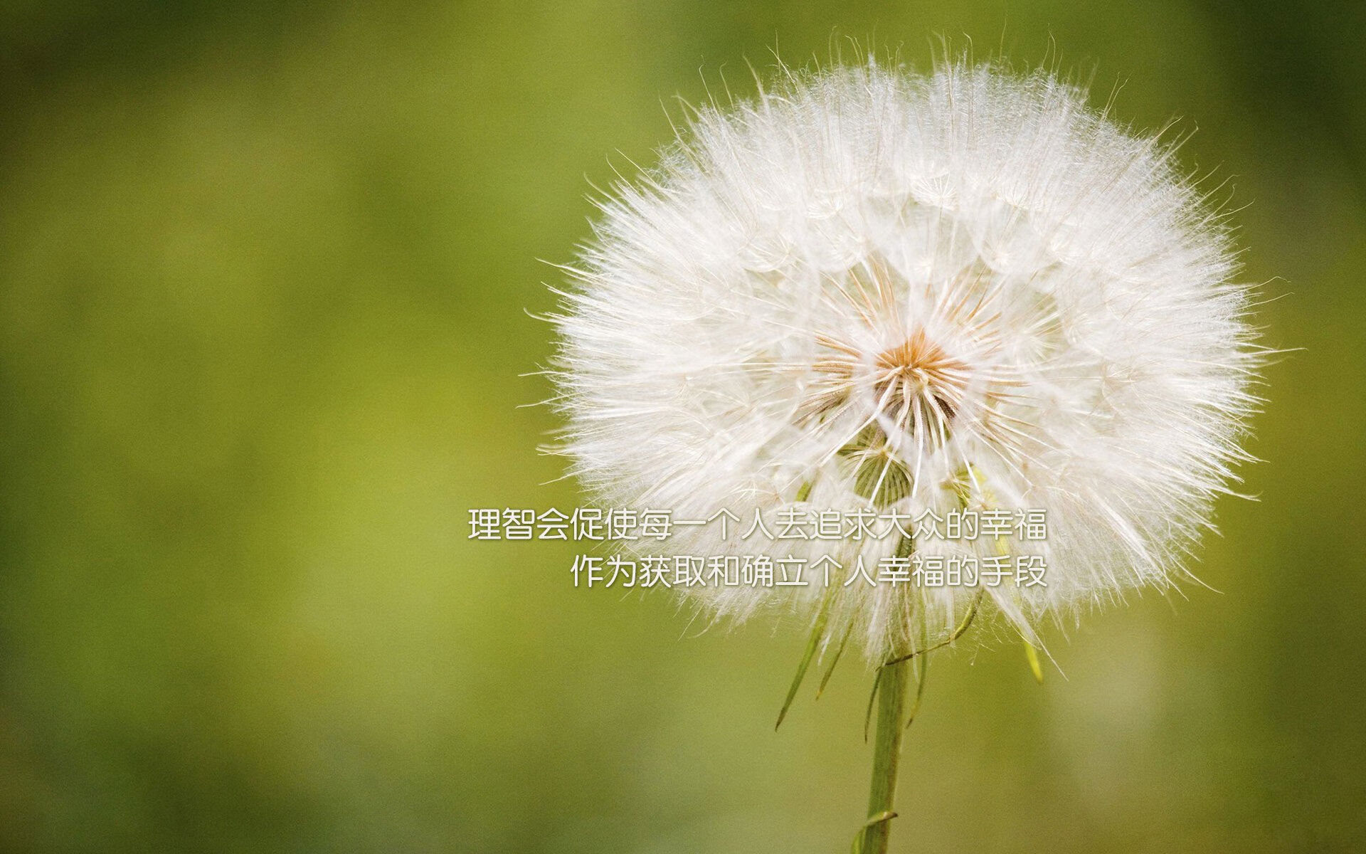 决赛亮点：梅尔滕斯与对手胶着对抗，网球梅尔滕斯身高