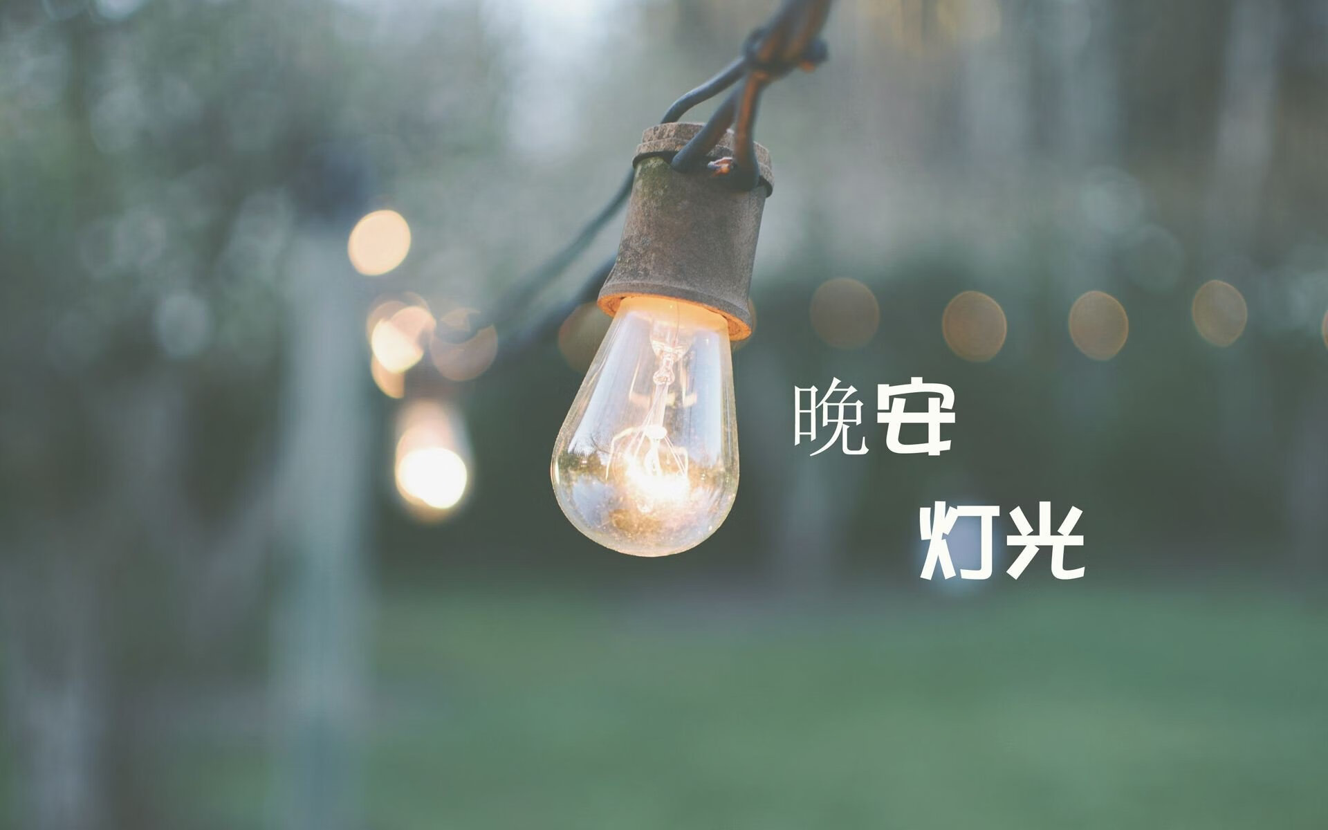 维尔·冯·威克：在高强度对抗中脱颖而出，助力南非队攻破敌防，冯克劳维茨